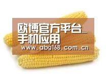 产品名称五