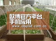 环境展示五