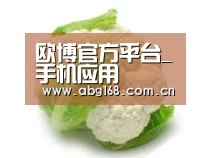 产品名称九