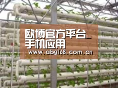 环境展示六