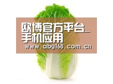 产品名称一