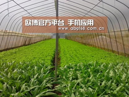 种植基地四