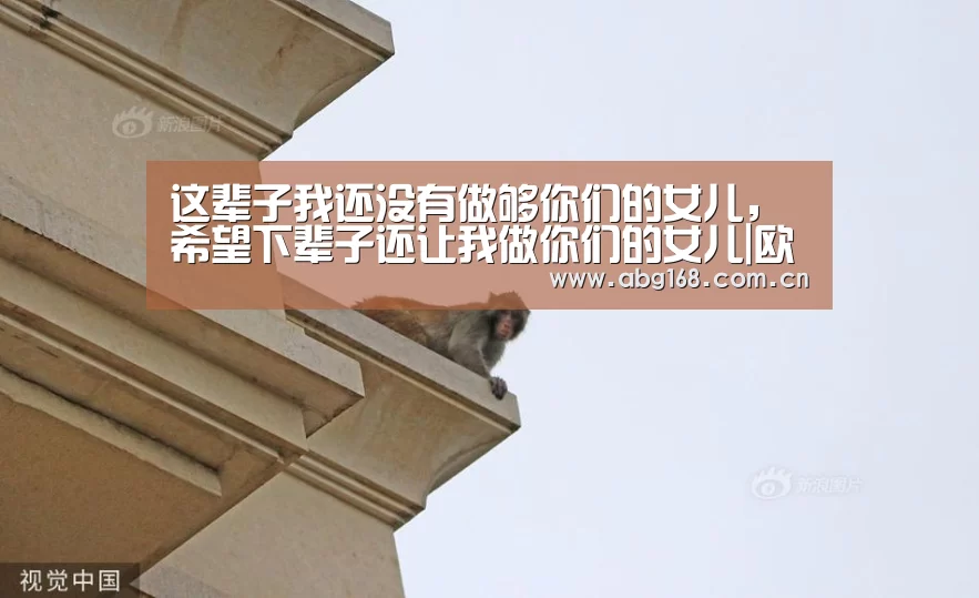欧博ABG官网