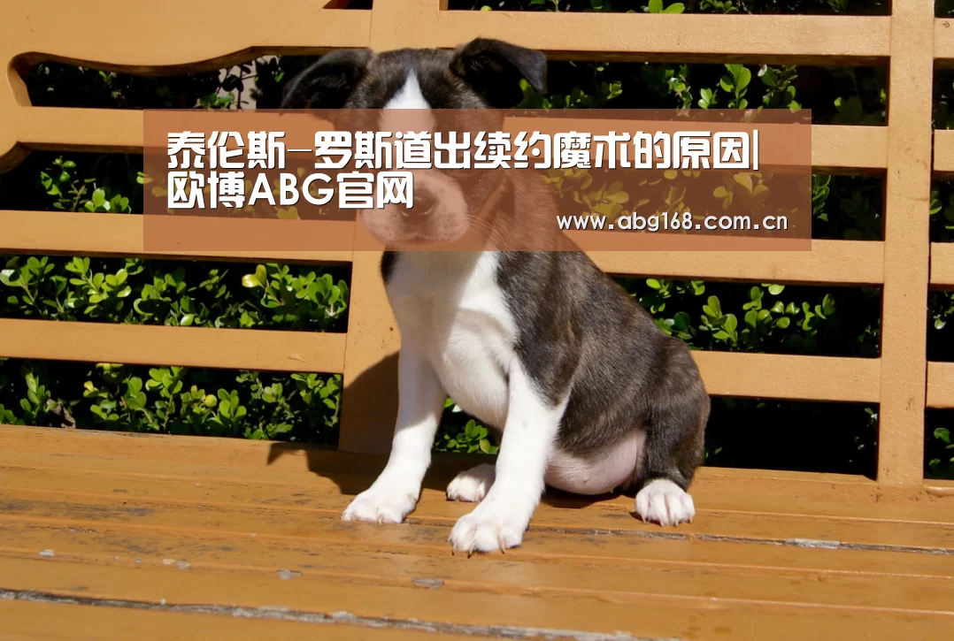泰伦斯-罗斯道出续约魔术的原因|欧博ABG官网(图1) 欧博ABG在线娱乐城