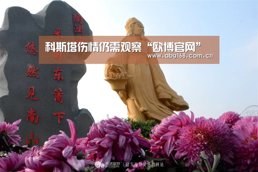 科斯塔伤情仍需观察“欧博官网”(图2) 欧博