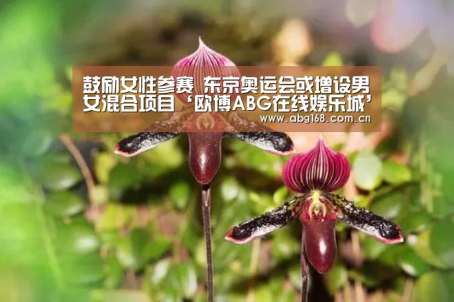 鼓励女性参赛 东京奥运会或增设男女混合项目‘欧博ABG在线娱乐城’(图2) 欧博