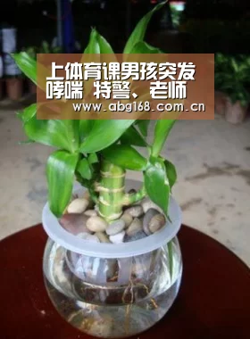 上体育课男孩突发哮喘 特警、老师一路护送就医:欧博官网(图3) 欧博ABG官网
