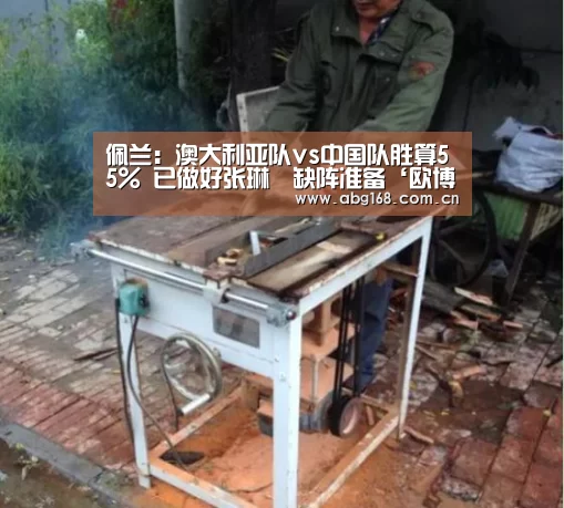 佩兰:澳大利亚队vs中国队胜算55% 已做好张琳芃缺阵准备‘欧博官网’(图1) 欧博ABG在线娱乐城
