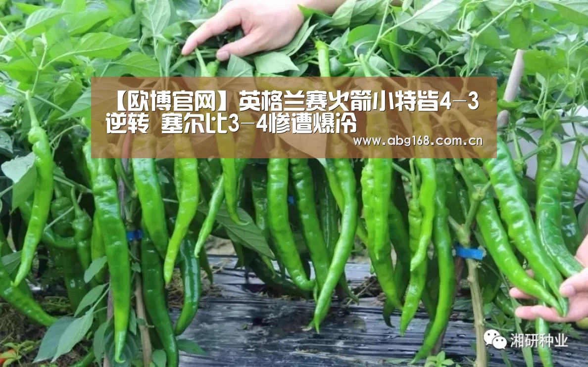 【欧博官网】英格兰赛火箭小特皆4-3逆转 塞尔比3-4惨遭爆冷(图1) 欧博官网