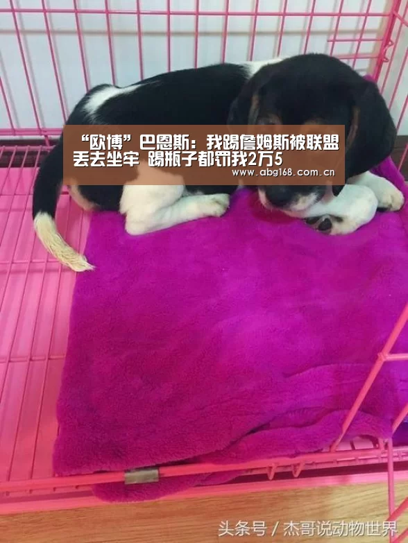 “欧博”巴恩斯:我踢詹姆斯被联盟丢去坐牢 踢瓶子都罚我2万5(图1) 欧博ABG官网