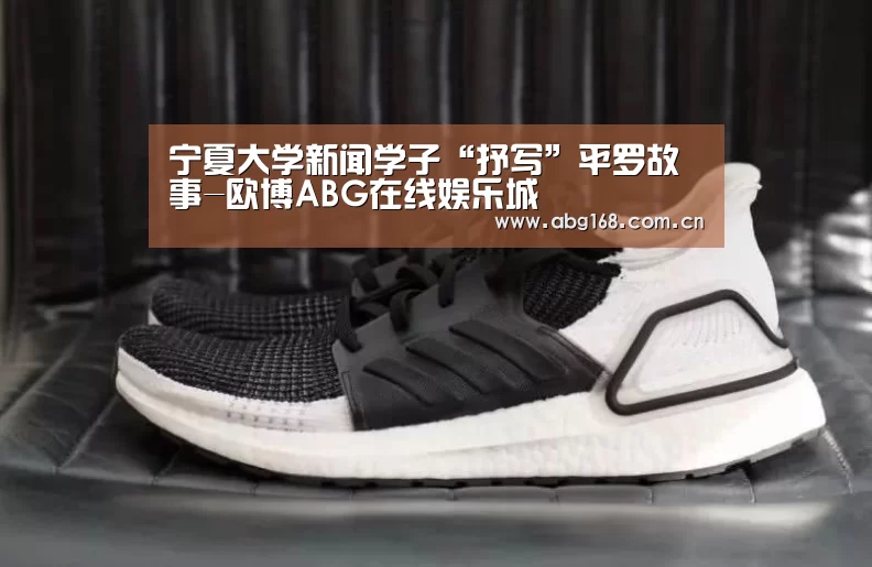 宁夏大学新闻学子“抒写”平罗故事-欧博ABG在线娱乐城(图2) 欧博ABG在线娱乐城
