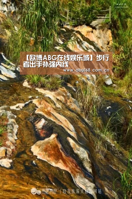【欧博ABG在线娱乐城】步行者出手补强内线(图2) 欧博